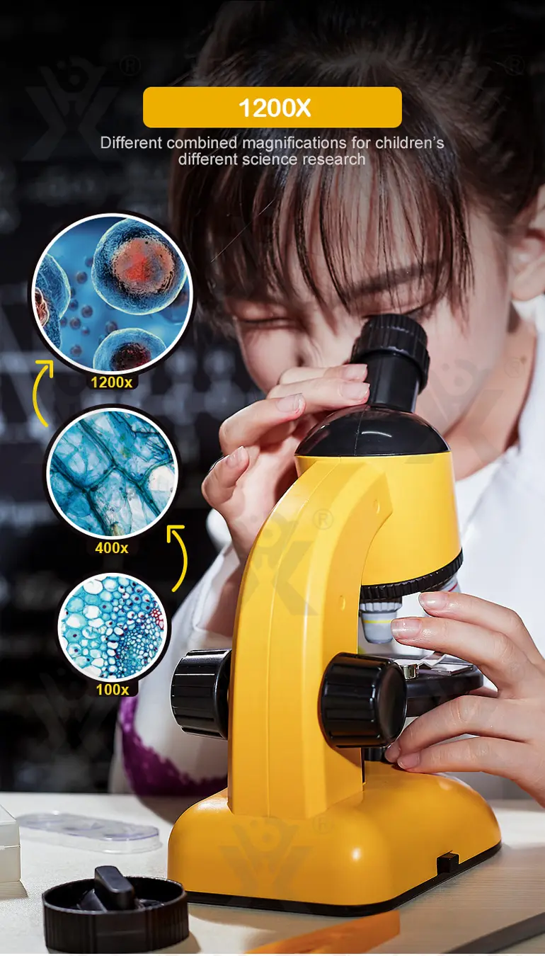 Scientific Microscope Toy, LED 100X-1200X Magnification (TB-1672615) — illustrated product details, panel 3