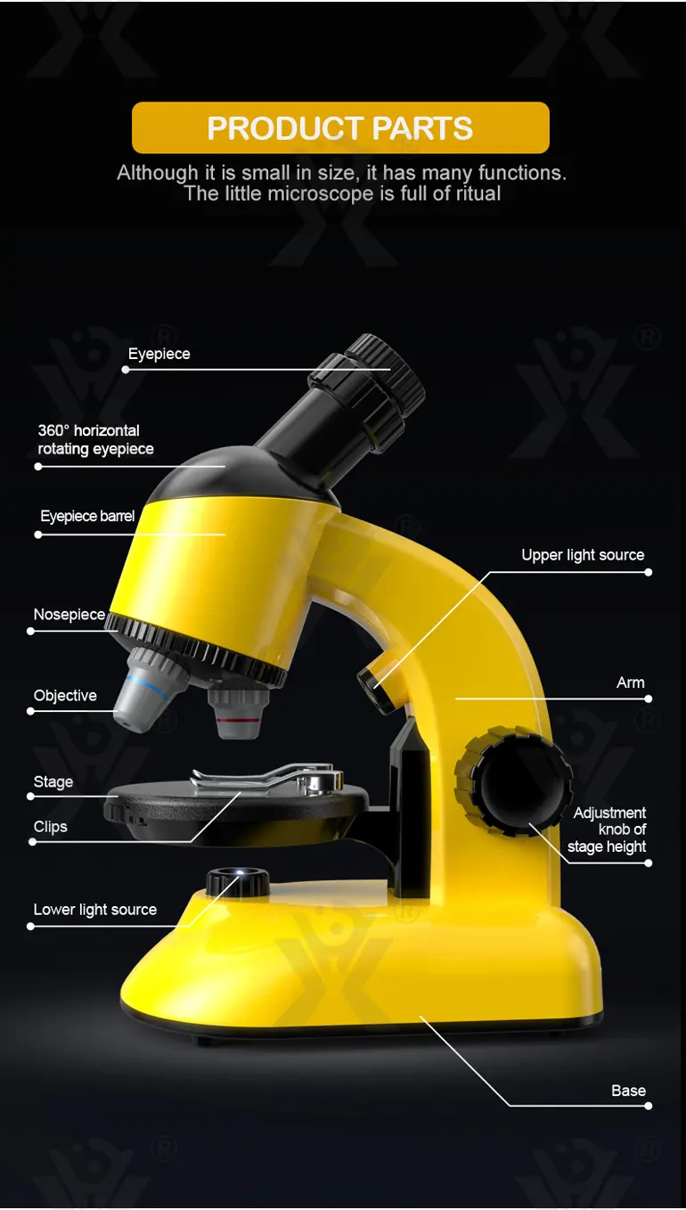 Scientific Microscope Toy, LED 100X-1200X Magnification (TB-1672615) — illustrated product details, panel 5
