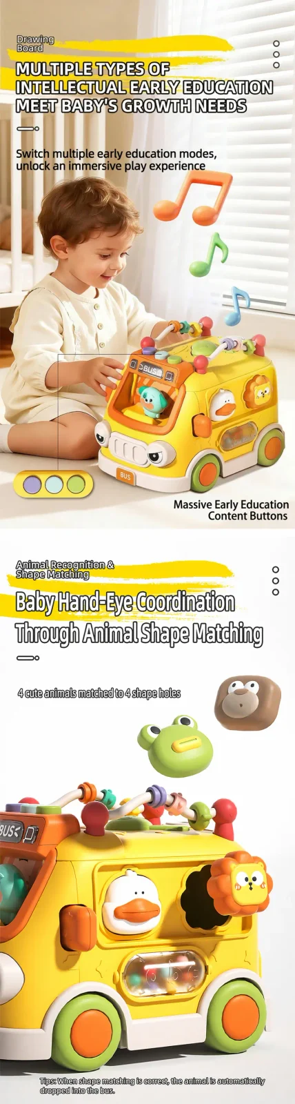 Activity Shape Sorting Bus, Educational Baby Musical Toy (TB-5316417) — illustrated product details, panel 3