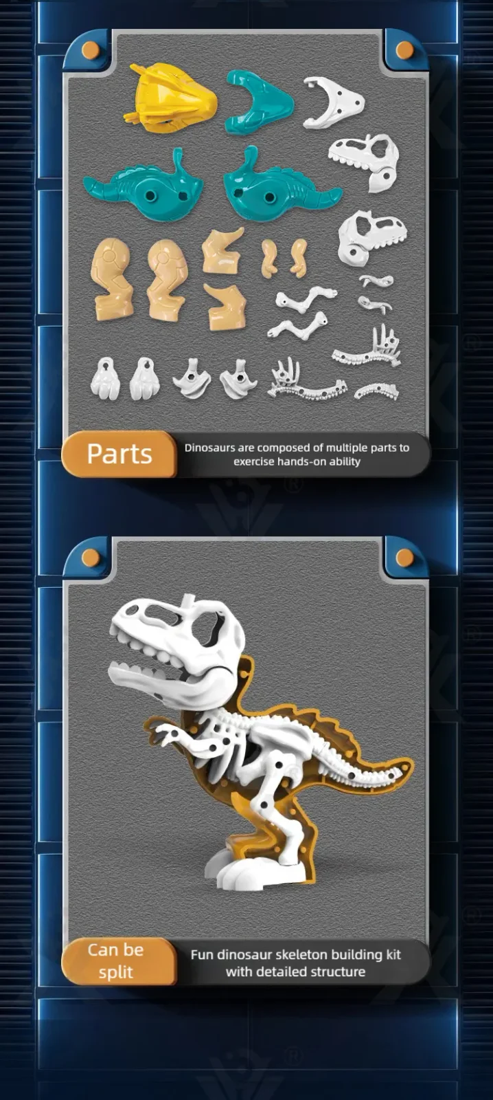 3D Puzzle Figures Assembly Dinosaur Skeleton Toy (TB-5041072) — illustrated product details, panel 3