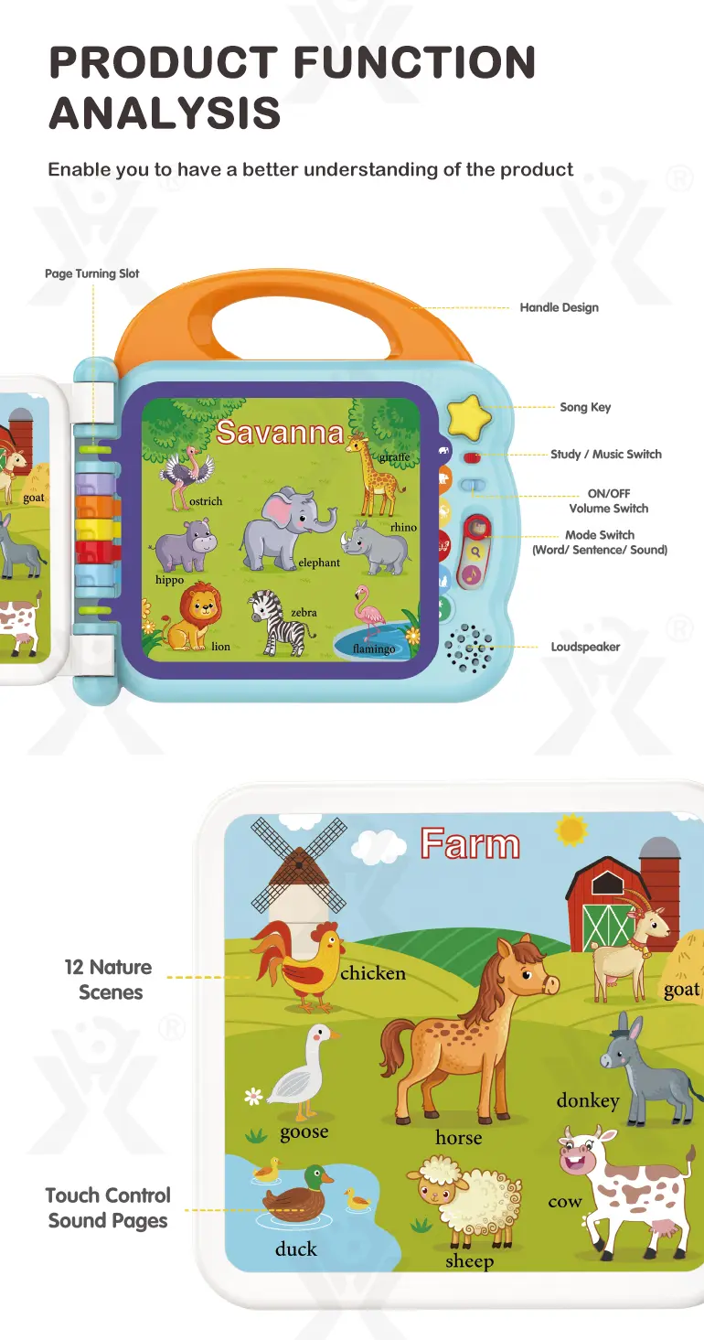 Touch & Teach Word Book of Animal World (TB-4496854) — illustrated product details, panel 7
