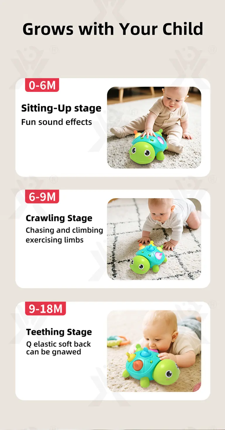 Crawling Turtle, Child-Safe Silicone (TB-5006485) — illustrated product details, panel 3